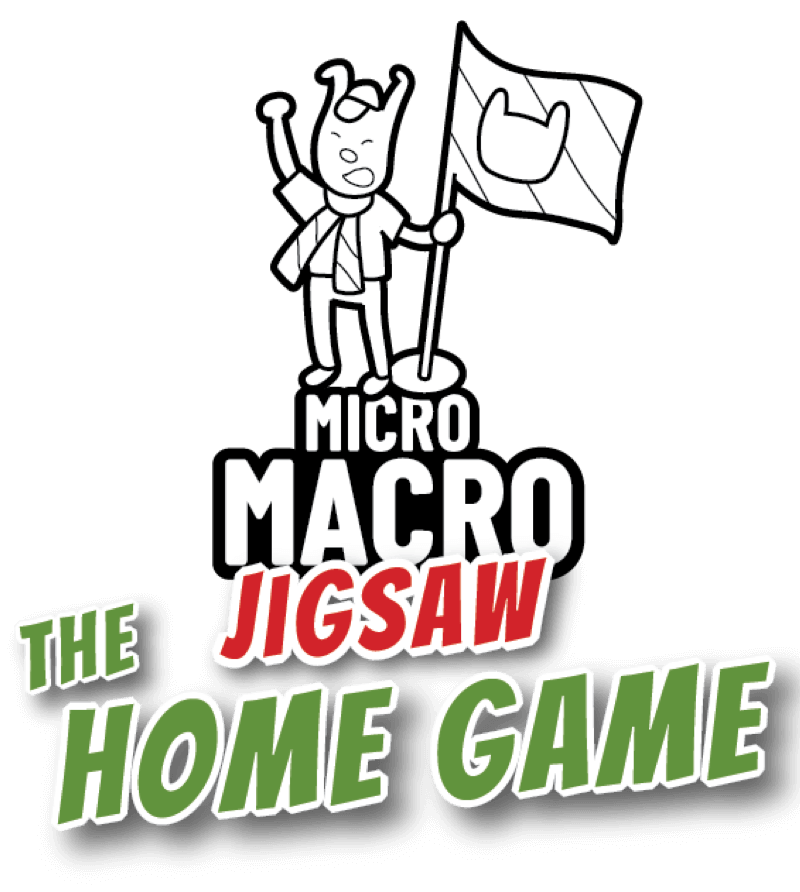 Logo Schriftzug: MicroMacro Puzzle