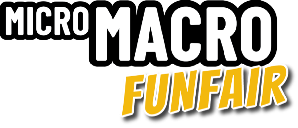 Logo Schriftzug: MicroMacro Puzzle