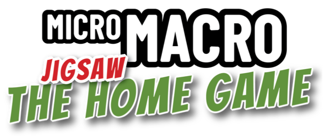 Logo Schriftzug: MicroMacro Puzzle